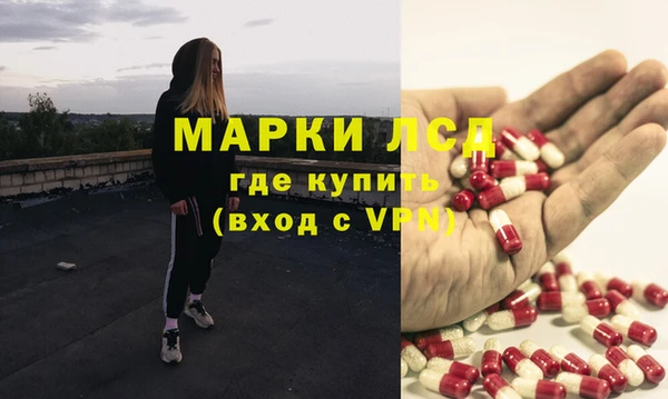 apvp Каменка